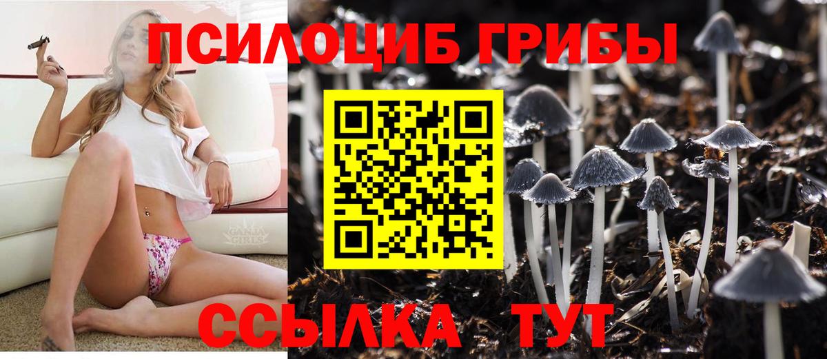 Трёхгорный  Галлюциногенные грибы мицелий  Вход с VPN 