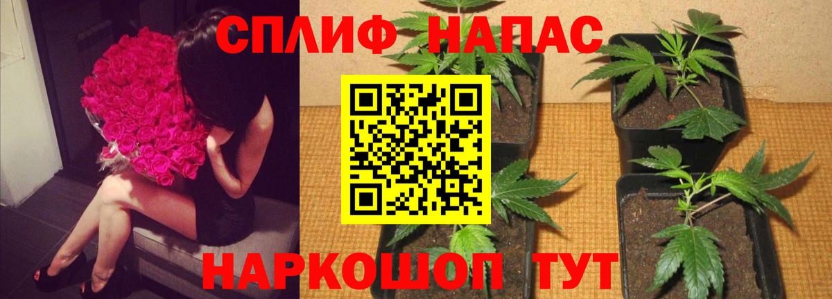 Шишки марихуана конопля Трёхгорный